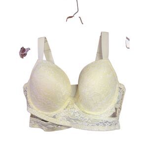 Kiss & Tell  Lime Lace Bra Sz 40D NWT